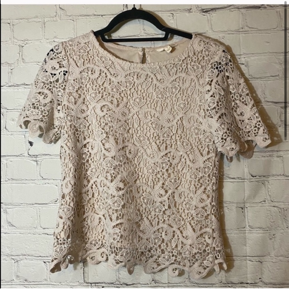 Adiva Lace Cream short Sleeve Blouse